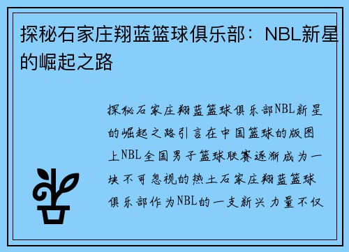 探秘石家庄翔蓝篮球俱乐部：NBL新星的崛起之路