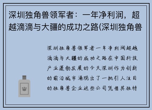 深圳独角兽领军者：一年净利润，超越滴滴与大疆的成功之路(深圳独角兽公司排名)